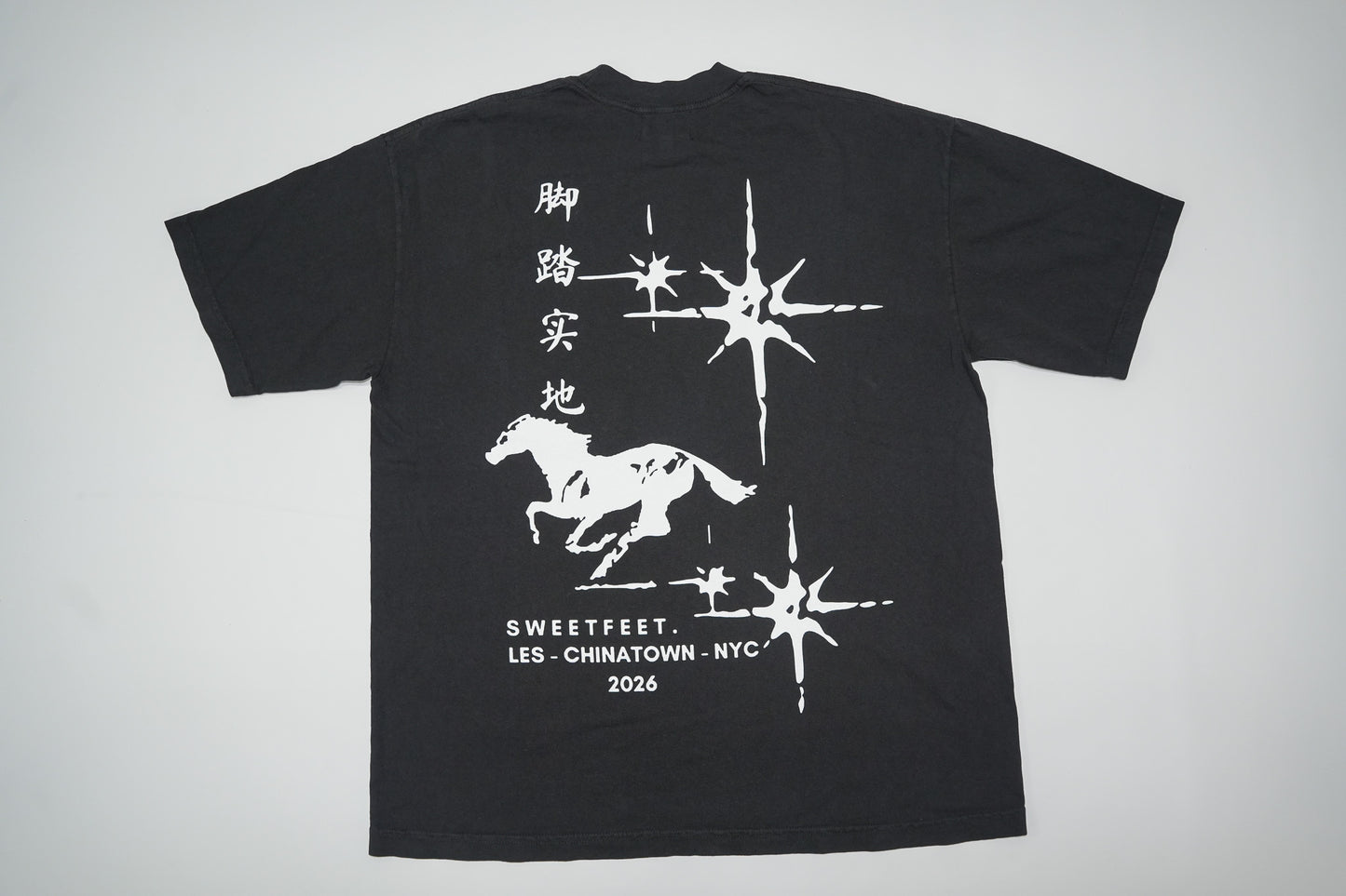 Lunar New Year TShirt