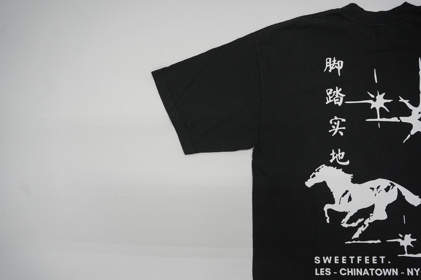 Lunar New Year TShirt